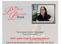 The Perfect Pointe Book