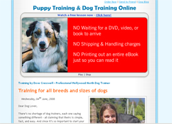 Dog Training Online