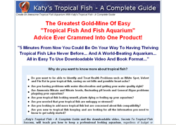 Katy's Tropical Fish: A Complete Guide