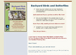 Backyard Birds and Butterflies