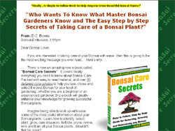 Bonsai Care Secrets