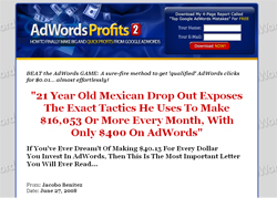 AdWords Profits 2