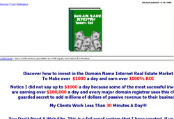 Domain Name Investing 1000% ROI
