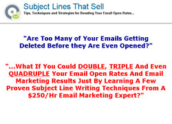 Subject Lines That Sell!: 28 Strategies for Doubling Your Email Open Rates