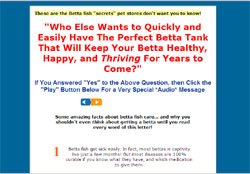 Betta Care Made Easy