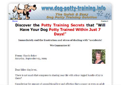 The Quick & Easy Foolproof Potty Training Dog Guide