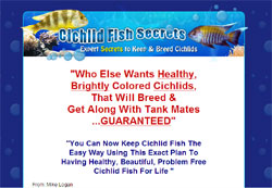 Cichlid Fish Secrets