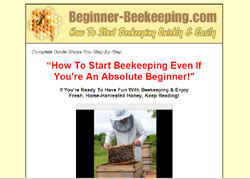 Beekeeping For Beginners