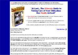 The Ultimate Chihuahua Care Handbook