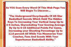 Basketball Experts: The Professional Player Development System