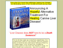 Hope For Healing Liver Disease in Your Dog