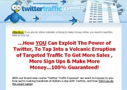Twitter Traffic Exposed!