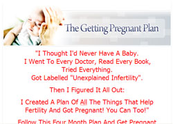 The Getting Pregnant Plan