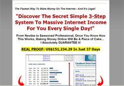 Internet Wealth System