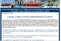 Domain Traffic Income