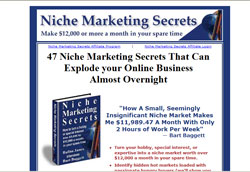 Niche Marketing Secrets:How To Turn A Hobby Or Special Interest Into 55,000 To $12,000 A Month In Yo