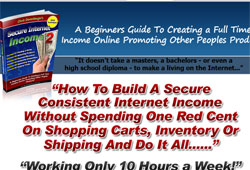 Secure Internet Income 2: A Beginners Guide To Creating A Full Time Income Online Promoting Other Pe