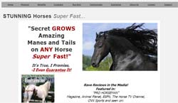 Own a Fairy Tale Horse