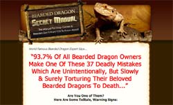 Bearded Dragon Secret Manual