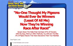 How To Breed, Race, Win and Make Money With Racing Pigeons