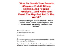 Find Out About Ferrets