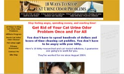 18 Ways to Stop Cat Urine Odor Problems