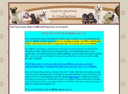 Grooming Your Dog At Home: An Ultimate Guide