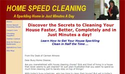 Home Speed Cleaning Secrets