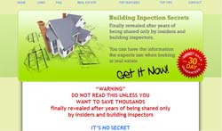 The Pre-Professional Inspection Guide to Purchasing Property