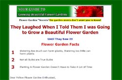 Your Guide to Growing Beautiful Flower Gardens