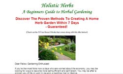 Holistic Herbs: A Beginners Guide to Herbal Gardening