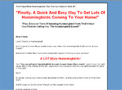 Hummingbird Secrets Revealed!
