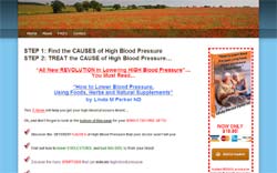 How to Lower Blood Pressure, Using Foods, Herbs and Natural Supplements