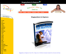 Blogging Basics for Beginners