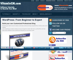 WordPress: From Beginner to Expert