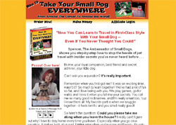 Take With Your Small Dog Everywhere