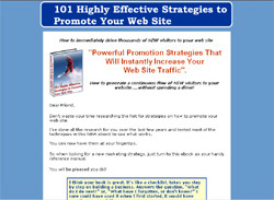 101 Highly Effective Strategies to Promote Your Web Site