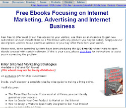 Killer Internet Marketing Strategies