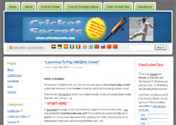 Cricket Secrets: Revealed, Powerful Tips and Tactics To Explode Your Cricket Performances