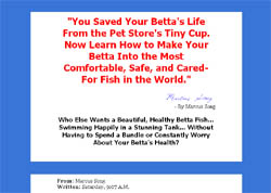 Caring For Betta Fish: An Insider's Guide For Betta Lovers