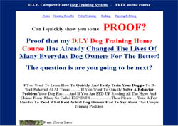 DIY Dog Training
