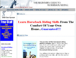 The Beginner's Guide to Horseback Riding