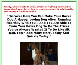 Boxer Dog Tips And Secrets.