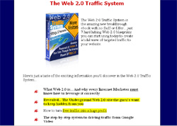 Web 2.0 Traffic System
