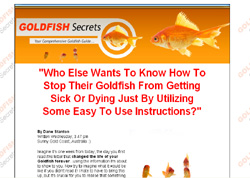 Goldfish Secrets Revealed!