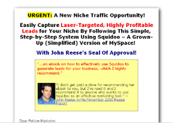 Social Networking on Squidoo