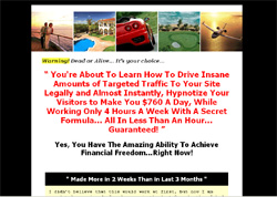 Black Hat AdSense Secret 2.0