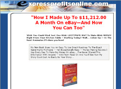 How An Overworked, Traveling, Soggy Sandwich Eating, Dental Hygienist Made $11,212.00 A Month -- 100