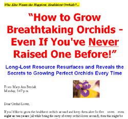 Orchid Secrets Revealed