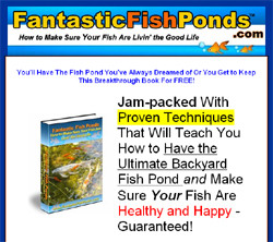 Fantastic Fish Ponds - How to Make Sure Your Fish Are Livin' The Good Life